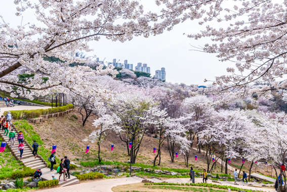 원본이미지(클릭)